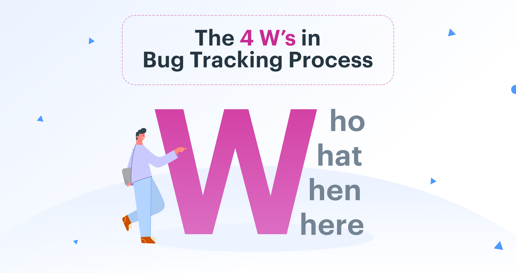 4Ws of Bug Tracking Process