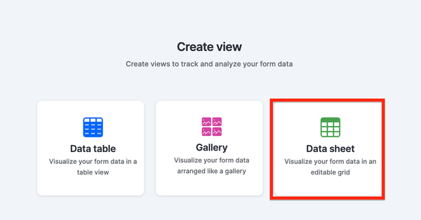 Data Sheet View for Data forms